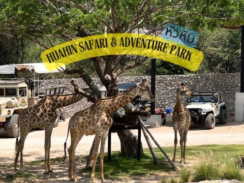 Hua Hin Safari